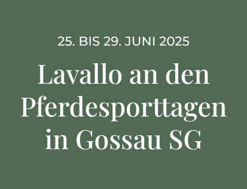 Lavallo an den Pferdesporttagen in Gossau SG